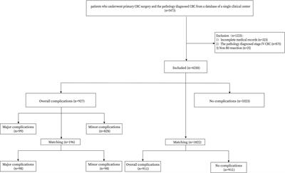 The Effect of Complications on Oncological Outcomes of Colorectal Cancer Patients After Primary Surgery: A Propensity Score Matching Analysis